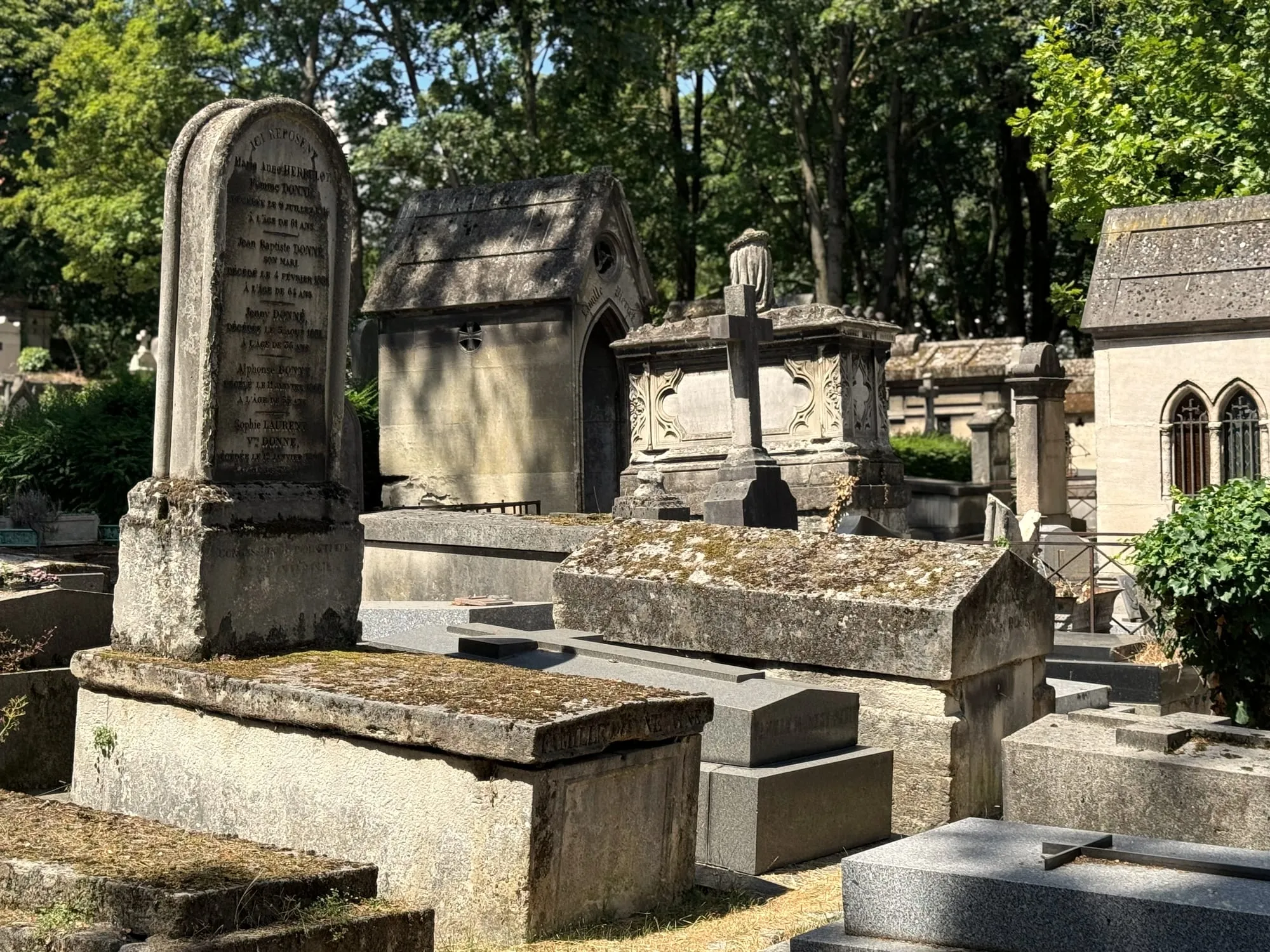 Tree-lined lane between old monuments in a Paris cemetery