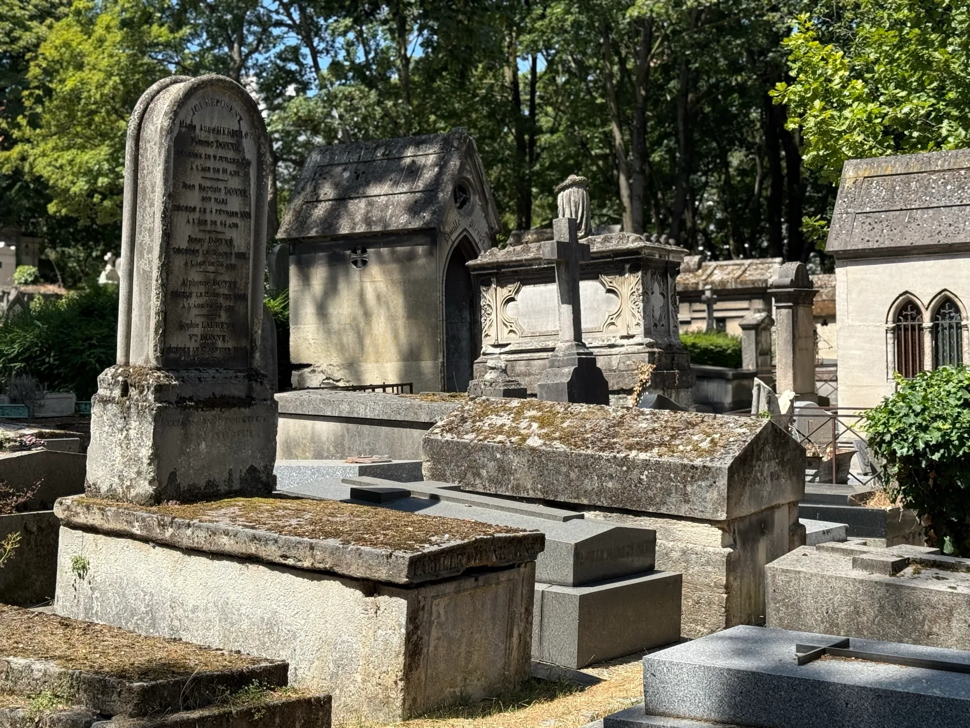 Tree-lined lane between old monuments in a Paris cemetery
